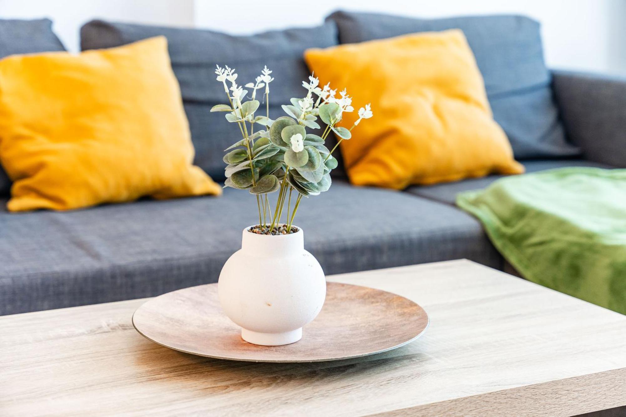 Modern Apollus Avenue - By Openhouse Apartments Тимишоара Екстериор снимка